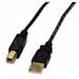 Xtech 10FT USB 2.0 A-Male to B-Male Mold XTC-303